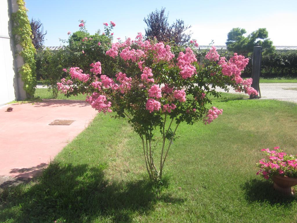 Al Casale B&B เกราสโก ภายนอก รูปภาพ